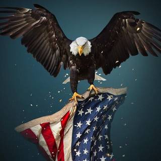 American Patriot wallpaper