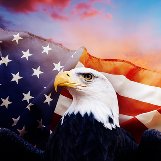 American Patriot wallpaper
