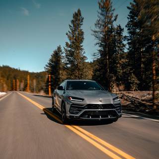 Cars in nature wallpaper