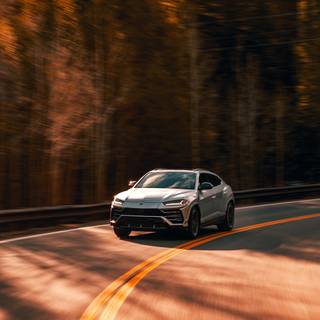 Cars in nature wallpaper