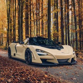 Cars in nature wallpaper