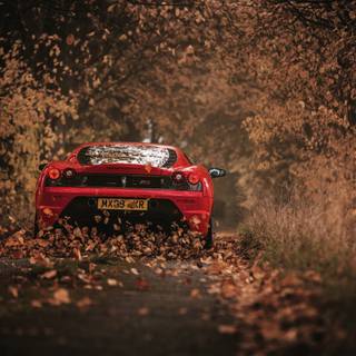 Cars in nature wallpaper