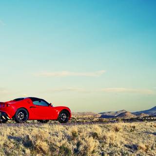 Cars nature wallpaper