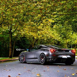 Cars nature wallpaper