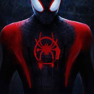 Spider-Man 4k iPhone X wallpaper