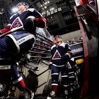 MacKinnon desktop wallpaper