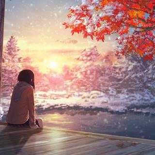 Sunset PFP wallpaper