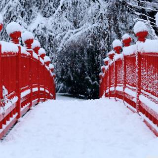 Winter bridge desktop wallpaper