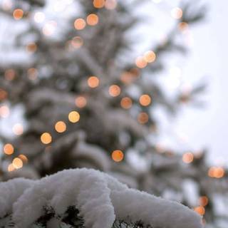 Aesthetic winter cute wallpaper