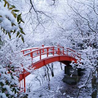 Winter bridge desktop wallpaper