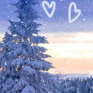 Aesthetic winter cute wallpaper