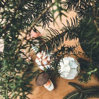 Rustic wood winter wallpaper