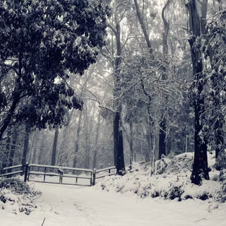 Winter bridge desktop wallpaper