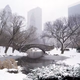 Winter bridge desktop wallpaper