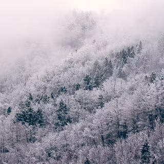 Winter Christmas MacBook Air wallpaper