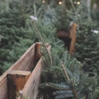 Moodboard winter Christmas wallpaper