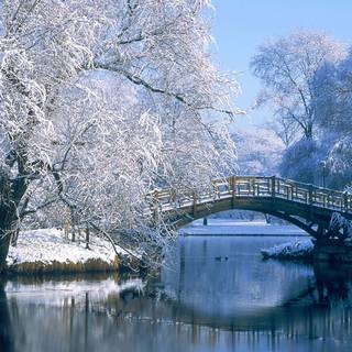 Winter bridge desktop wallpaper