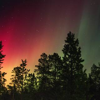 Winter Christmas MacBook Air wallpaper