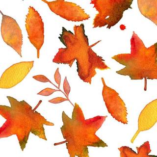 Cartoon autumn leaves wallpaper