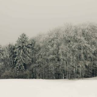 Winter Christmas MacBook Air wallpaper