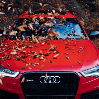 4k car autumn wallpaper