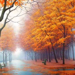 Fall painting wallpaper