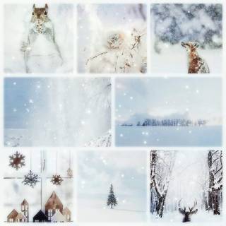 Moodboard winter Christmas wallpaper