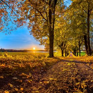 Autumn 4k PC wallpaper