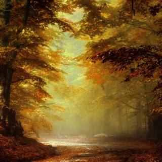 Autumn painting 3440x1440 wallpaper