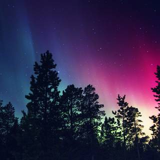 Winter Christmas MacBook Air wallpaper