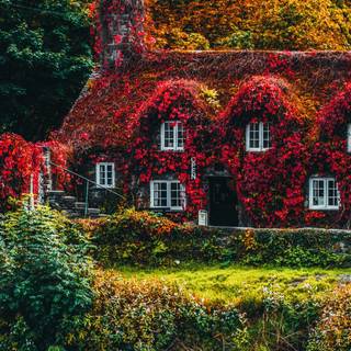 Bridge autumn ultrawide wallpaper