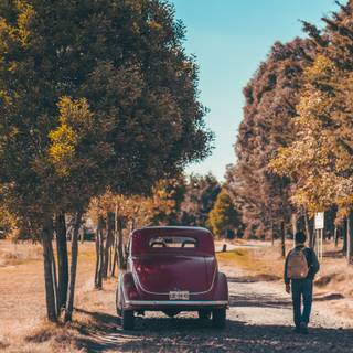 4k car autumn wallpaper