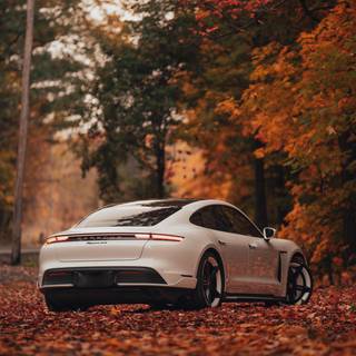 4k car autumn wallpaper