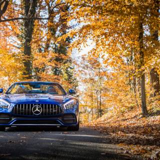 4k car autumn wallpaper