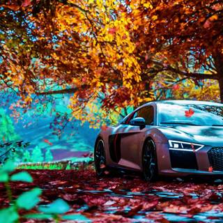 4k car autumn wallpaper