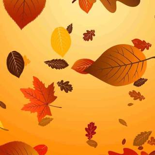 Cartoon autumn leaves wallpaper