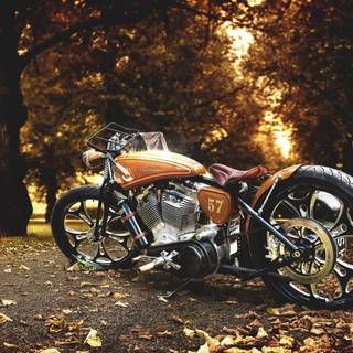 Motorcycle autumn wallpaper