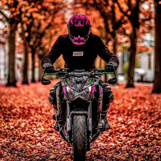 Motorcycle autumn wallpaper