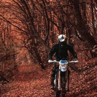 Motorcycle autumn wallpaper