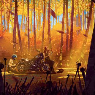 Motorcycle autumn wallpaper