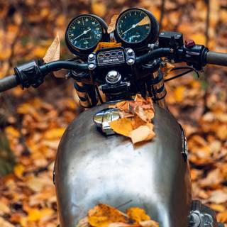 Motorcycle autumn wallpaper
