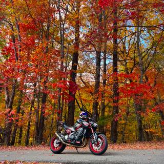 Motorcycle autumn wallpaper
