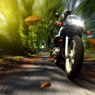 Motorcycle autumn wallpaper