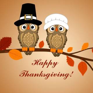 Cute Thanksgiving turkey wallpaper