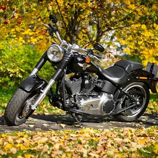 Motorcycle autumn wallpaper