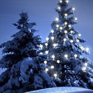 Christmas and snow wallpaper