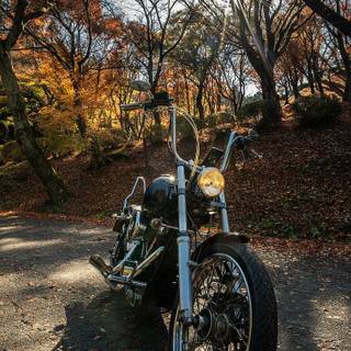 Motorcycle autumn wallpaper