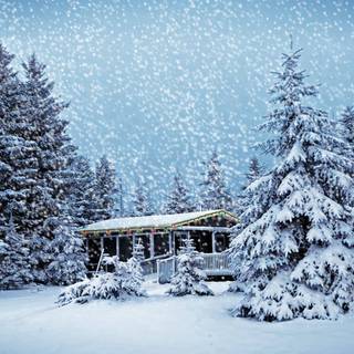 Christmas and snow wallpaper