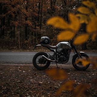 Motorcycle autumn wallpaper