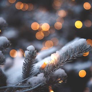 Christmas lights iPhone wallpaper